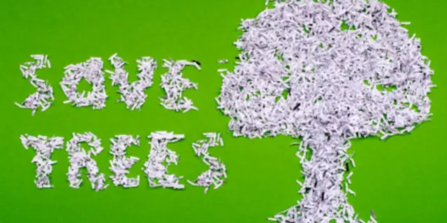 Saving Trees One Paystub At A Time
